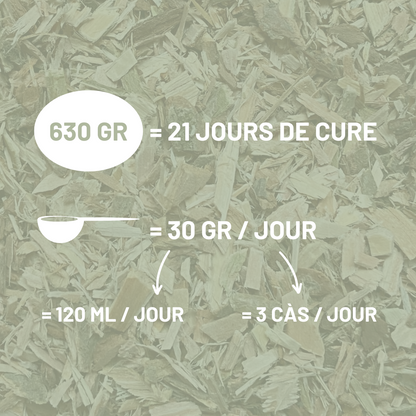 SAULE BLANC - Articulations