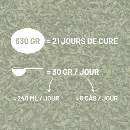 THYM - Respiration et digestion