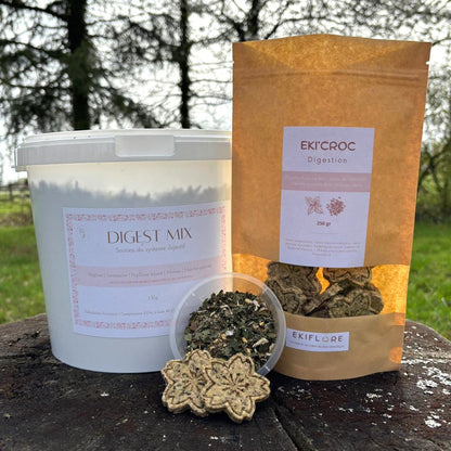 PACK | Spécial DIGESTION