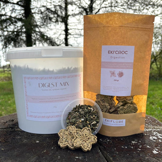 PACK | Spécial DIGESTION